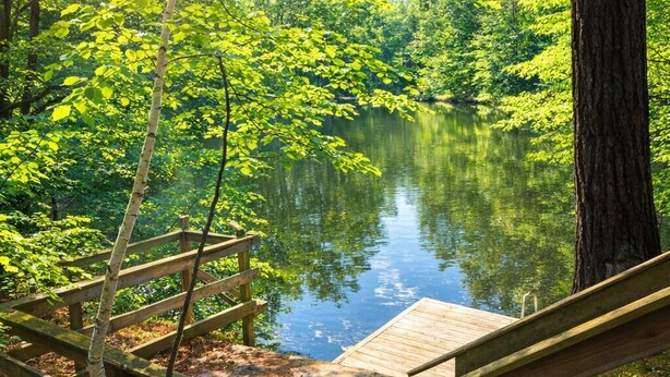 A wooden dock extending into a calm lake surrounded by lush greenery. - Pine Cottage on Blass Lake (Wisconsin Dells)