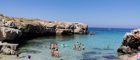 Playa en los alrededores y camastros