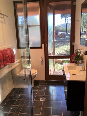 A bathroom with a glass shower enclosure, a toilet, and a sink with a mirror. - Idyllic Farm Cottage with Outdoor Bath Under the Stars (Manildra)