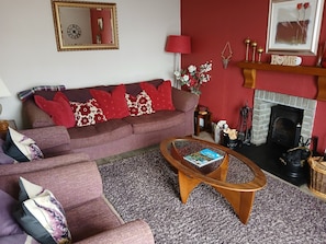 TV, fireplace, DVD player, books
