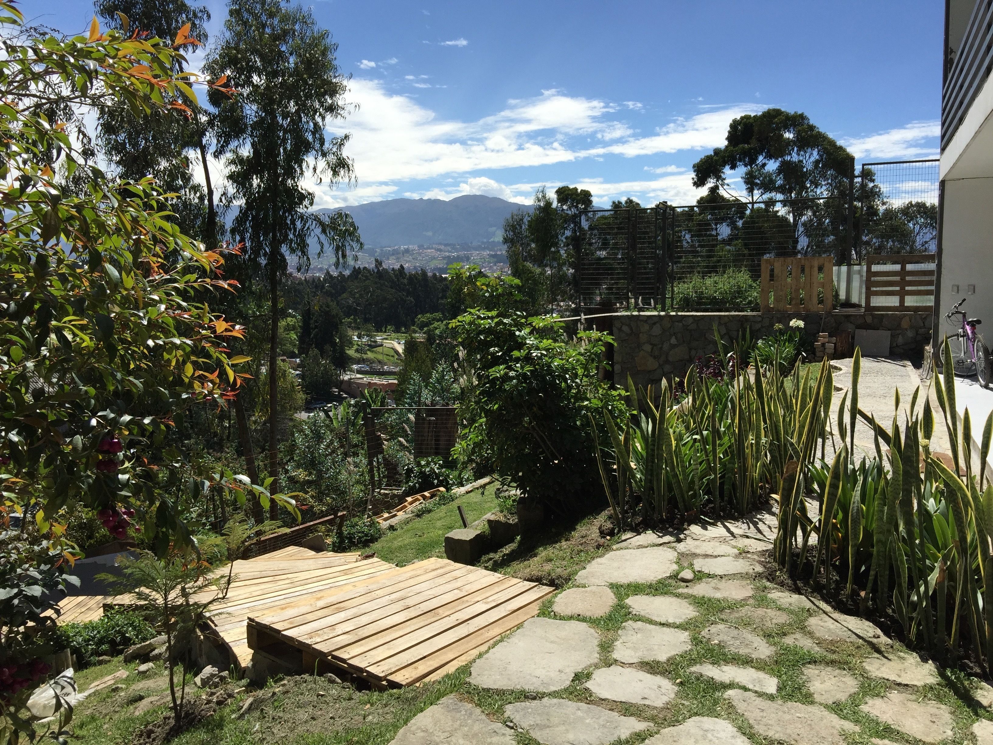 Un jardin agrémenté d’une terrasse en bois, d’un chemin en pierre et de diverses plantes.