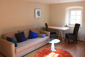 TV, DVD player, books, video library