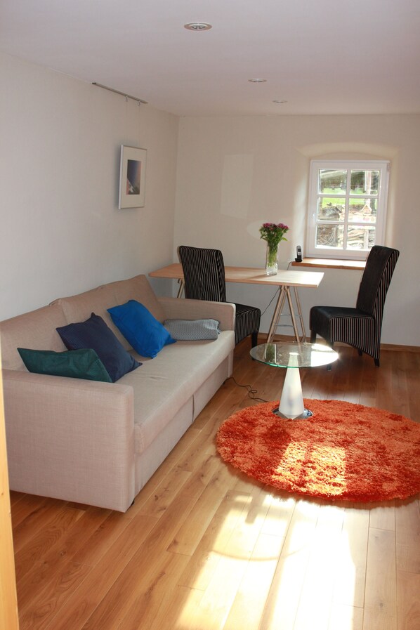 TV, DVD player, books, video library