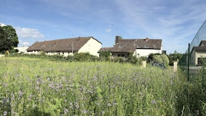 Un entorno rural con una casa blanca con balcón, rodeada de campos de flores moradas y una colina al fondo.