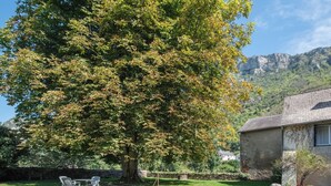 Ein Steinhaus mit Fenster, umgeben von einer grünen Wiese und einem großen Baum.