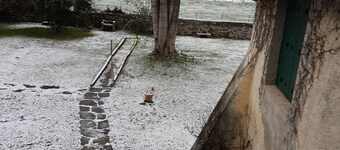 Gite Gritchou near the Gave d'Ossau and the vulture cliff