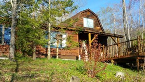 Exterior - Cabin with a magnificent view! (MANISTIQUE)