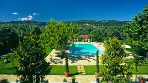 Ein rechteckiger Swimmingpool, umgeben von einer Rasenfläche mit Liegestühlen und Blumentöpfen.