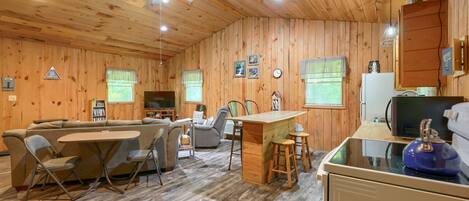 TV, fireplace, DVD player, books