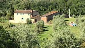 A rural house with a large garden and a swimming pool. - Podere l'Ulivo: typical Tuscan Villa of 400 meters with a large swimming pool (San Mignato Pisa)