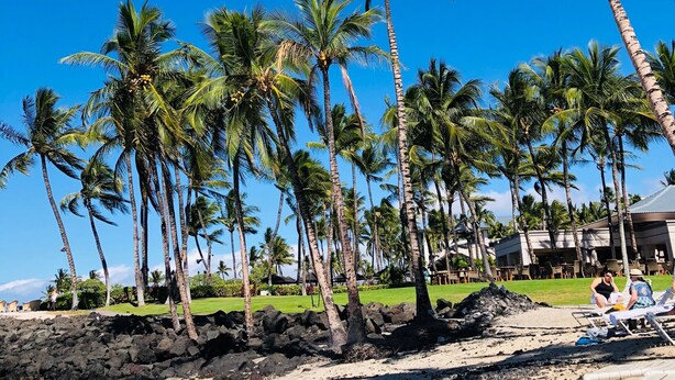 A beach with palm trees, a rocky shoreline, and lounge chairs. - Private and Quiet, Luxury Family-Friendly unit in Fairways at Mauna Lani (Waimea)
