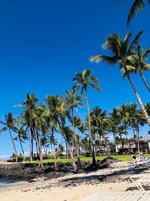 A beach with palm trees, a rocky shoreline, and lounge chairs. - Private and Quiet, Luxury Family-Friendly unit in Fairways at Mauna Lani (Waimea)
