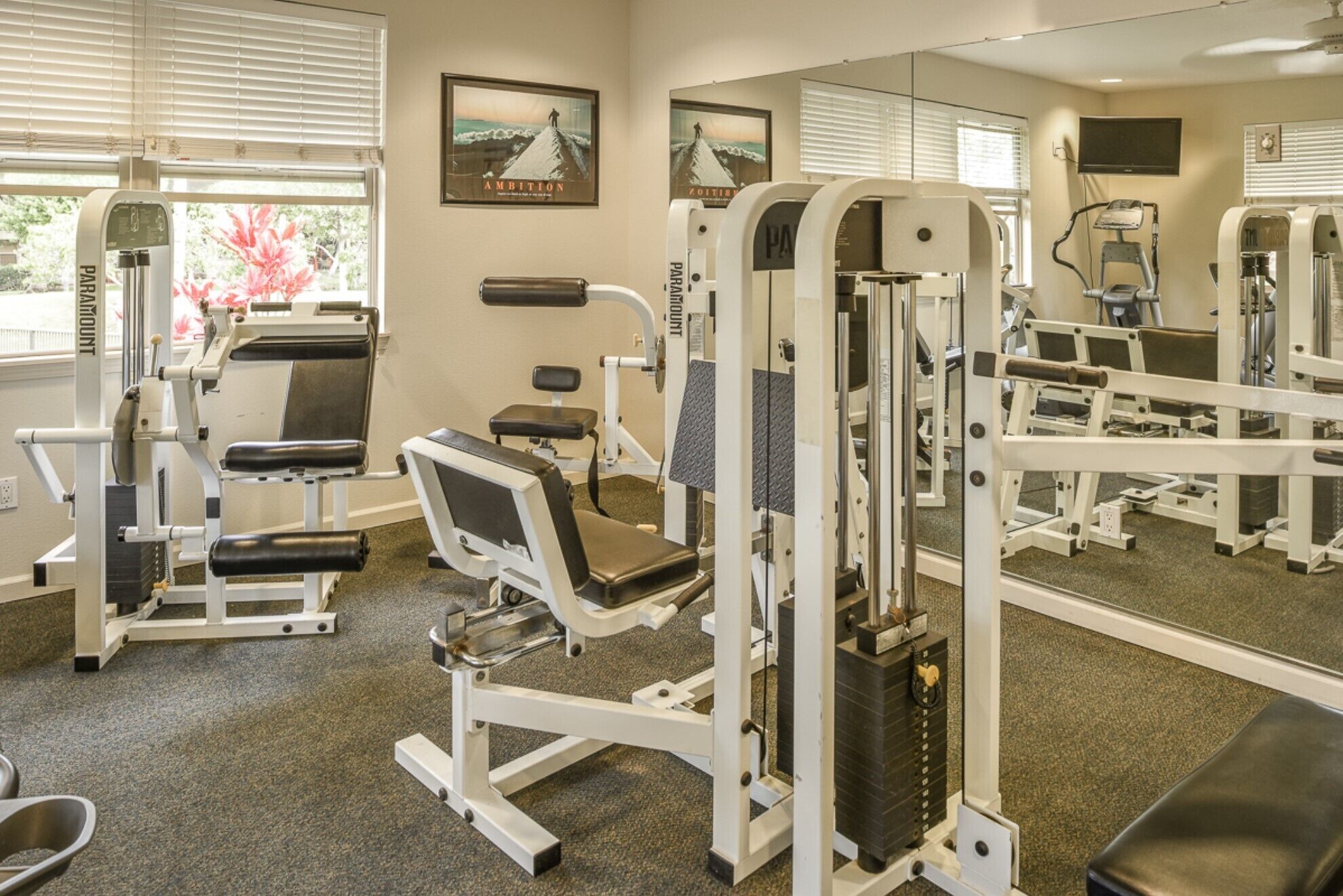 A gym with various exercise machines, a large mirror, and artwork on the walls.
