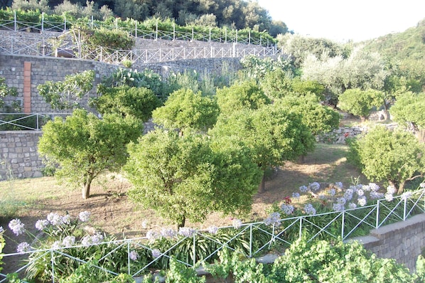 Parco della struttura