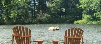 Jeder Fischer Traum! Das Hotel liegt an der schönen Watauga Fluss!