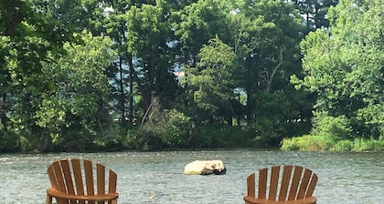 Fisherman's Dream! Directly on the beautiful Watauga River! Walk in access!