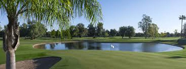 Un campo de golf con un estanque, árboles y cielo despejado.