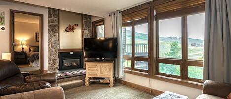 Smart-tv, een open haard, een dvd-speler en een filmbibliotheek