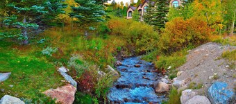 Ski In/Out, Outside Frnt Door- No Halls! Private Deck, New Kitchen