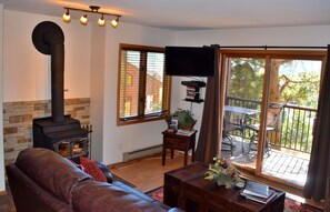 TV connectée, cheminée, lecteur de DVD, vidéothèque