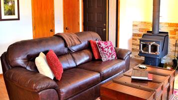 Smart TV, chimenea, reproductor de DVD y videoteca