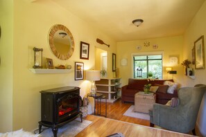 Smart TV, caminetto, lettore DVD, libri