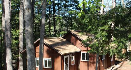 Restful Cottage For 4 On Lake George Near Traverse Cit