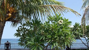 A pathway leading to a beach with palm trees and a fence. - Villa Cymopoleia (Seririt)