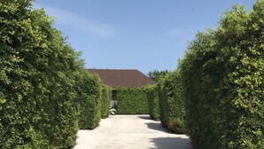 Un chemin pavé, bordé de haies soigneusement taillées, mène à un bâtiment dont le toit est de couleur brune.