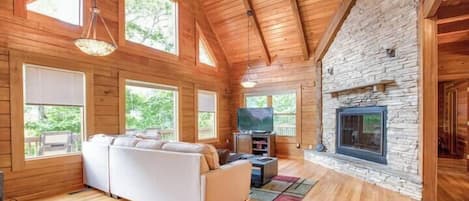 テレビ、暖炉、テレビゲーム、DVD プレーヤー