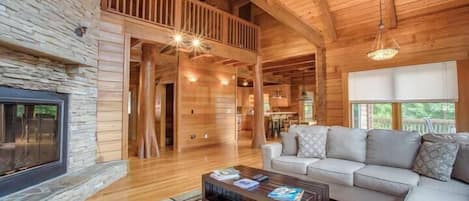 Televisión, chimenea, videojuegos y reproductor de DVD