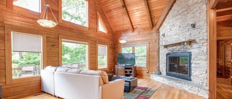 TV, fireplace, video games, DVD player