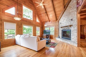 TV, fireplace, video games, DVD player