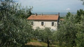 A house with a tiled roof, surrounded by olive trees. - Canalicchio: Apartment within farmhouse and terrace with Jacuzzi for 4 persons (Canalicchio)