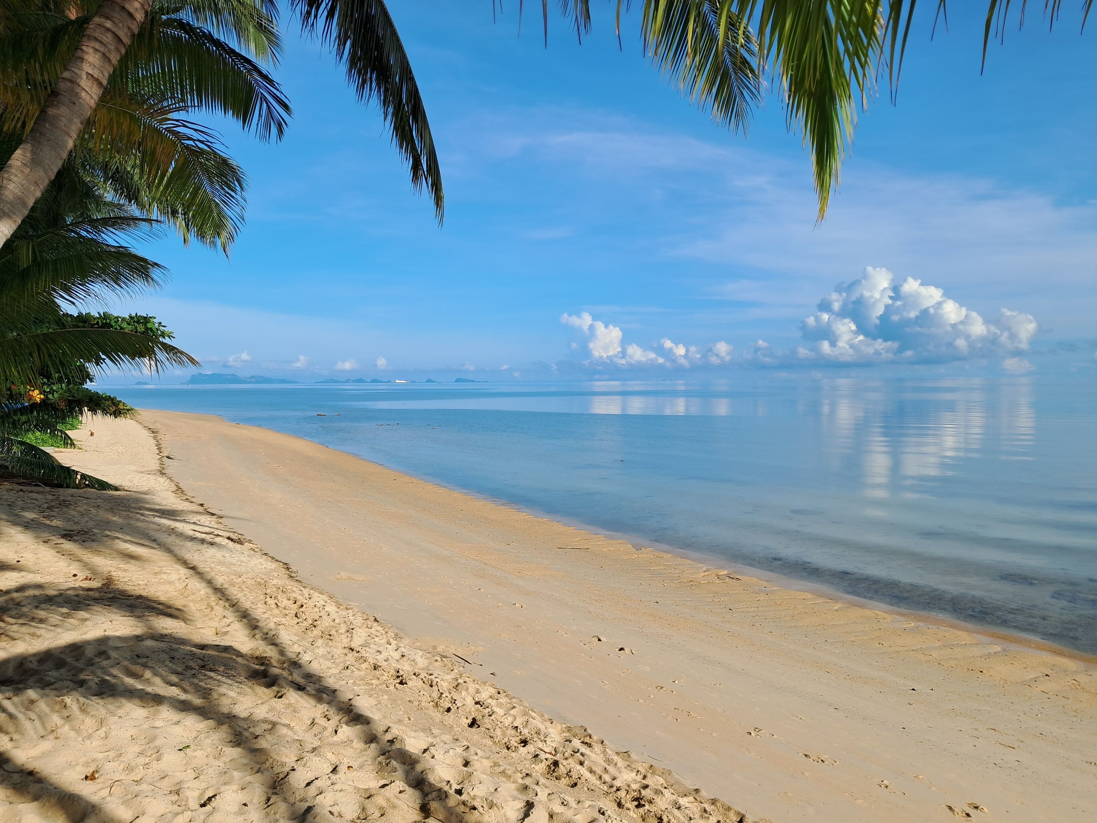 Plage, serviettes de plage