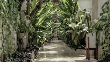 Pasillo bordeado por plantas verdes exuberantes y una lámpara colgante.