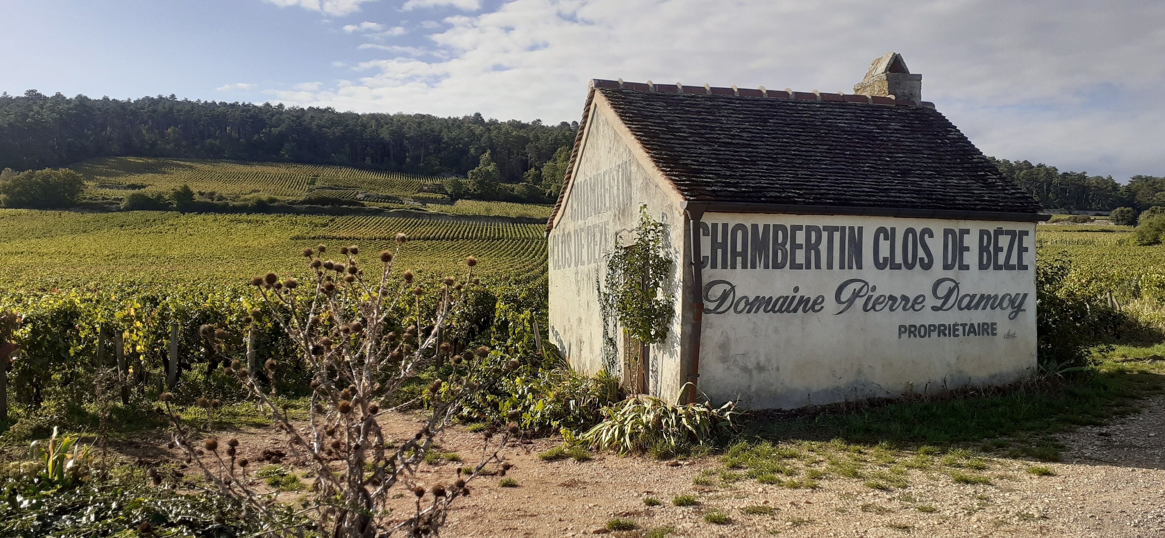 Ein kleines Gebäude mit einem Schild, auf dem „CHAMBERTIN CLOS DE BEZE Domaine Pierre Damoy PROPRIETAIRE“ steht.