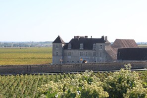 Ein großes Steinhaus mit mehreren Türmen und einem zentralen Eingang, umgeben von einem Feld mit Feldfrüchten.