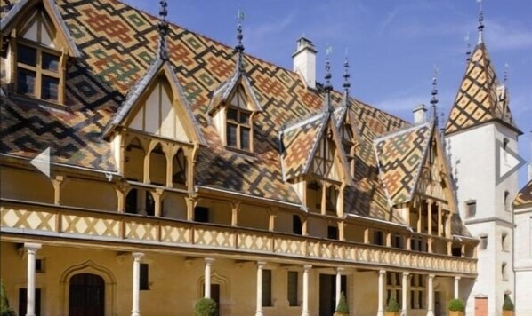 A traditional European building with a patterned roof, multiple gables, and a series of arches along the facade. - Les Plumes (Gilly-les-Citeaux)