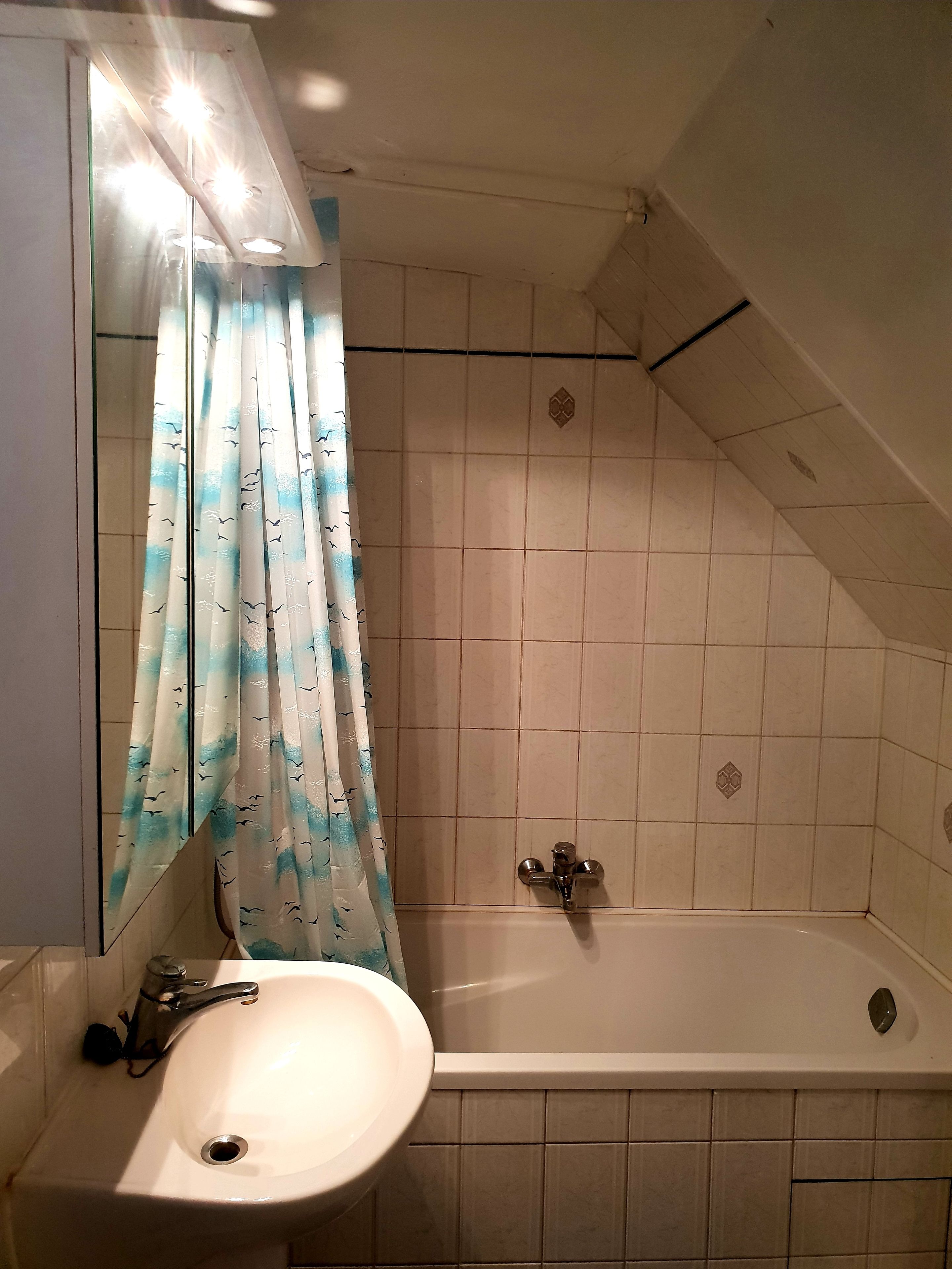 Un baño con bañera, lavabo y cortina de ducha con estampado de pájaros.