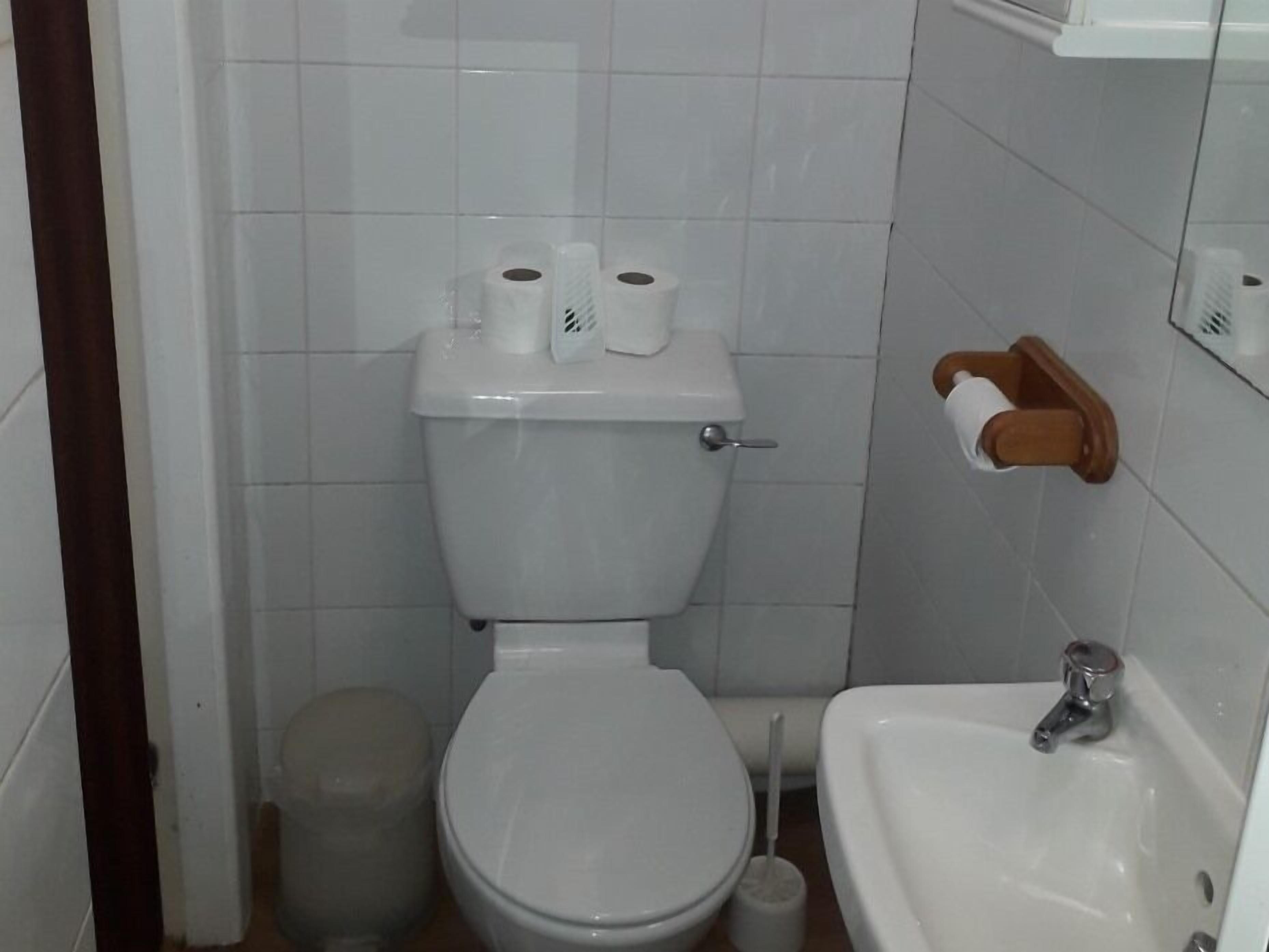 A small bathroom with a toilet, sink, and a trash bin.