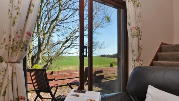 A room with a view of a green field and trees through a glass door. There is a black leather sofa with a cushion and a magazine on it.