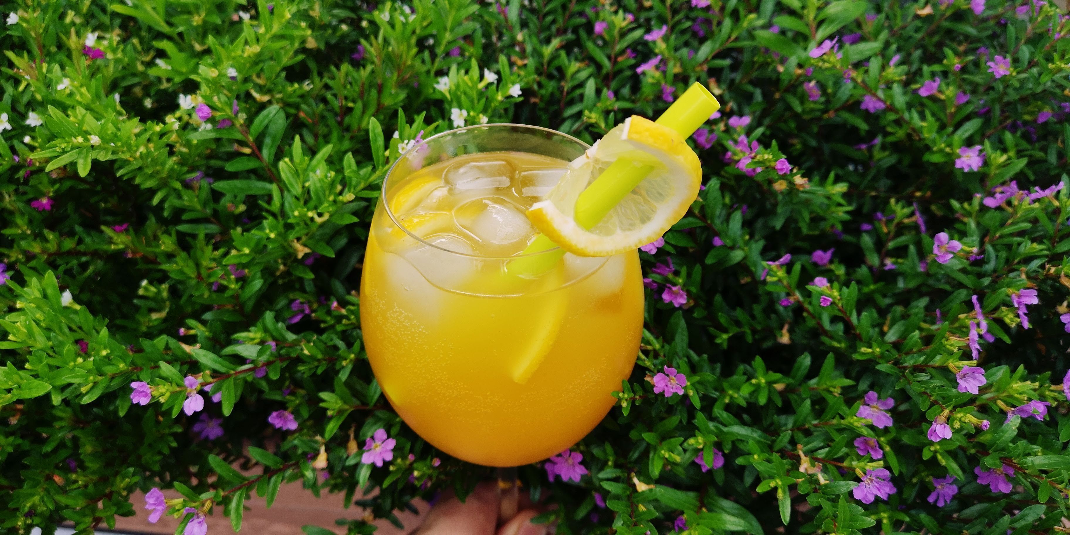 A glass of orange beverage with a lemon slice and ice, held against a backdrop of green foliage and purple flowers.