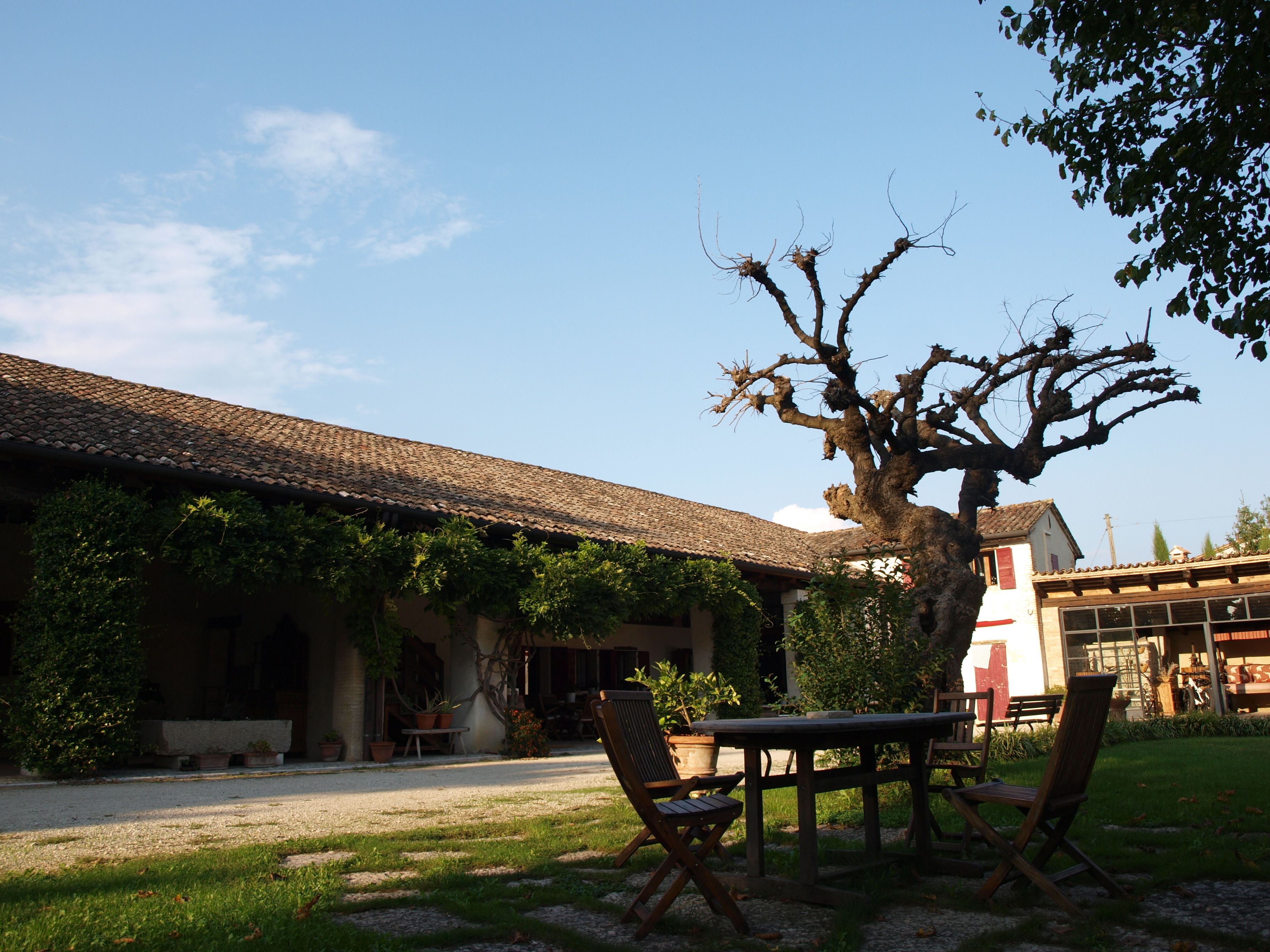 A courtyard with a tiled roof, a large tree, and outdoor furniture.