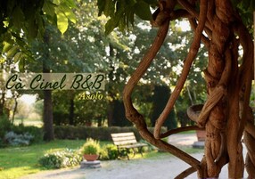 Un jardín con un banco y un árbol de ramas retorcidas.