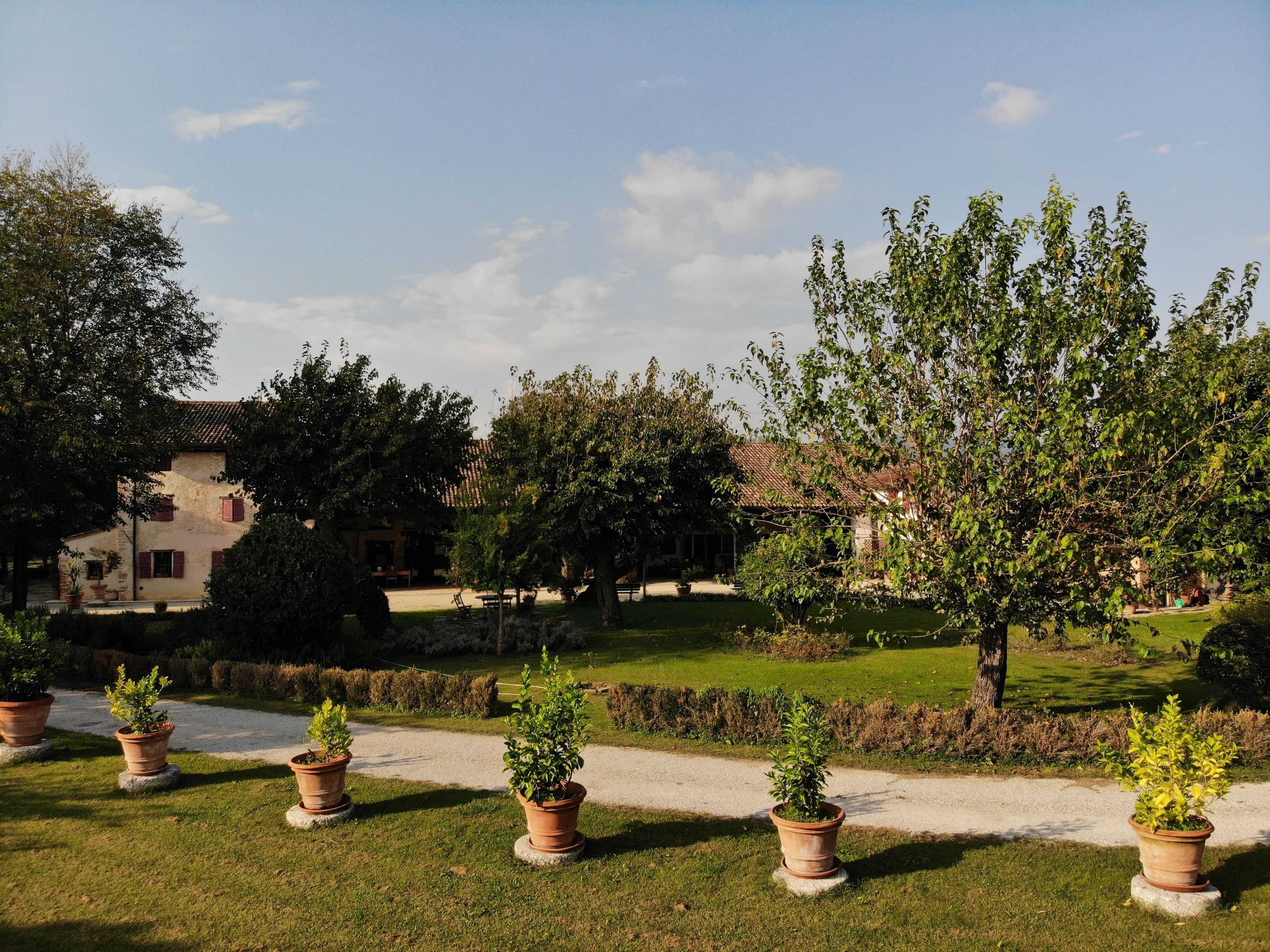 A well-maintained garden with potted plants, a pathway, and a building with a tiled roof in the background.