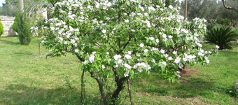 Bed & Breakfast Villa Rita