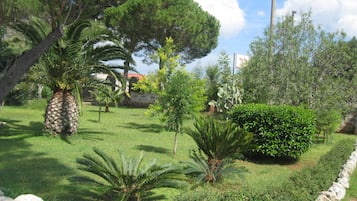 Jardín