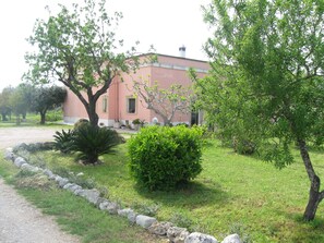 Garden - Bed & Breakfast Villa Rita (Campi Salentina)