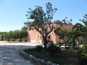 Exterior - Bed & Breakfast Villa Rita (Campi Salentina)